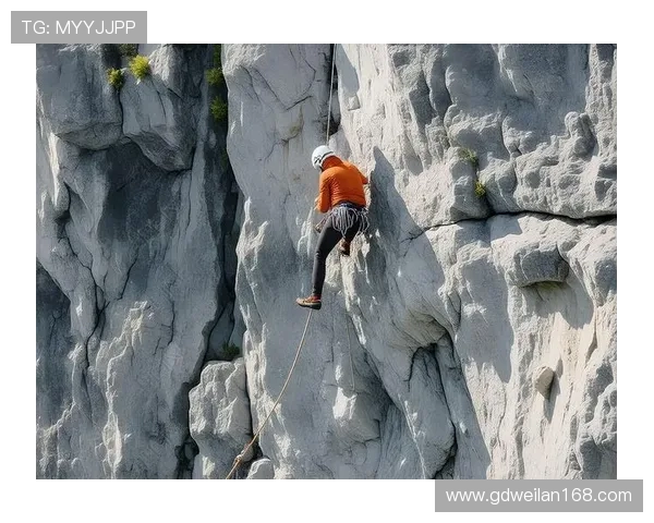 成都攀岩队的节奏探秘：深度解析攀岩运动的魅力与挑战